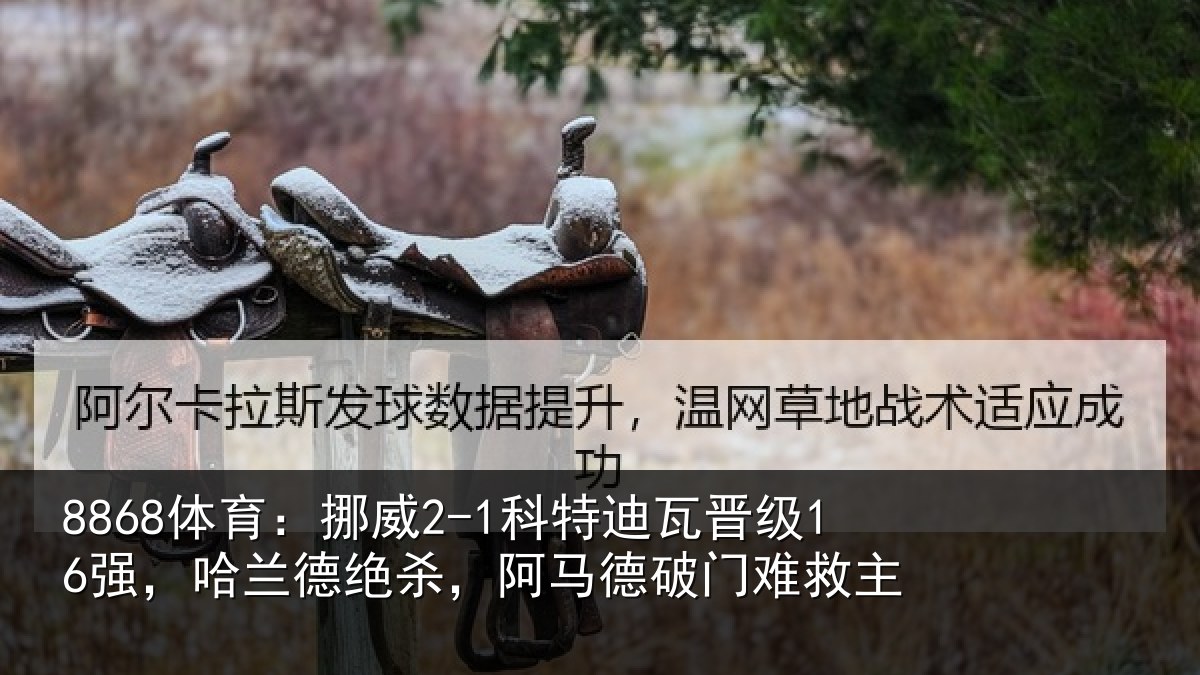 8868体育：挪威2-1科特迪瓦晋级16强，哈兰德绝杀，阿马德破门难救主